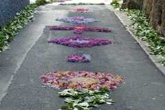 IMG-20250622-WA0024