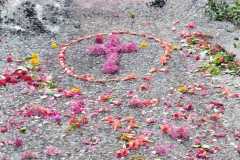 IMG-20250622-WA0038