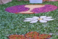wtm_DSCF0200